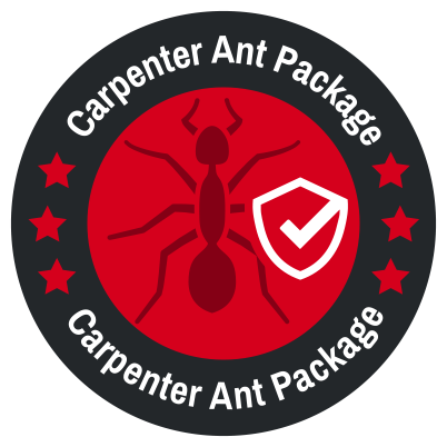 carpenter ant package