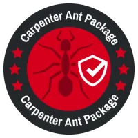 carpenter ant package