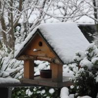 Winter birdhouse