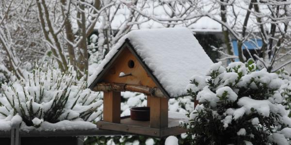 Winter birdhouse